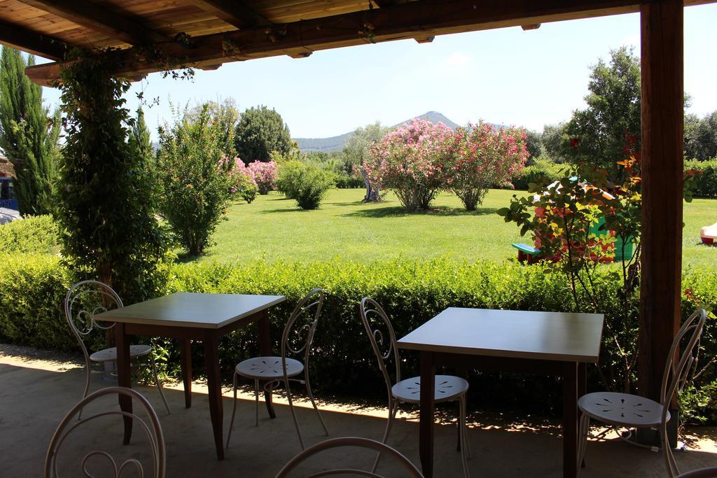 Agriturismo Eucaliptus Bolgheri Zewnętrze zdjęcie