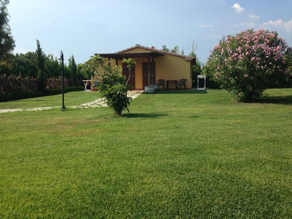 Agriturismo Eucaliptus Bolgheri Zewnętrze zdjęcie