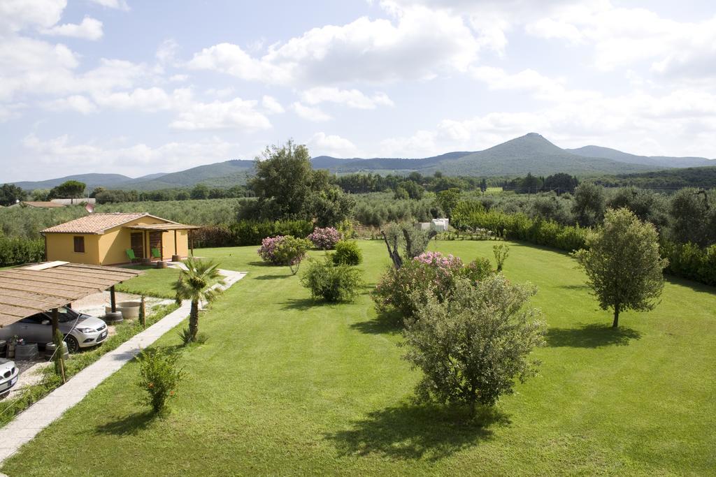 Agriturismo Eucaliptus Bolgheri Zewnętrze zdjęcie