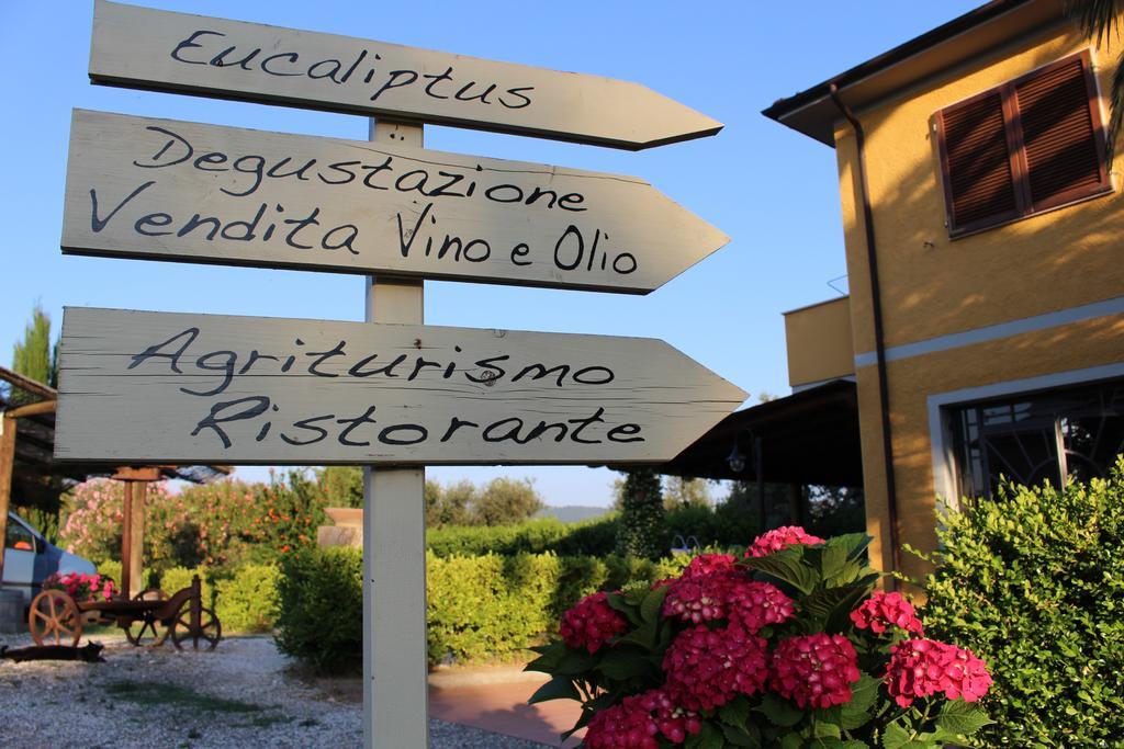 Agriturismo Eucaliptus Bolgheri Zewnętrze zdjęcie