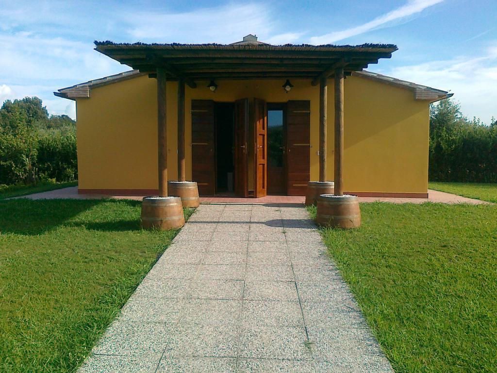 Agriturismo Eucaliptus Bolgheri Zewnętrze zdjęcie