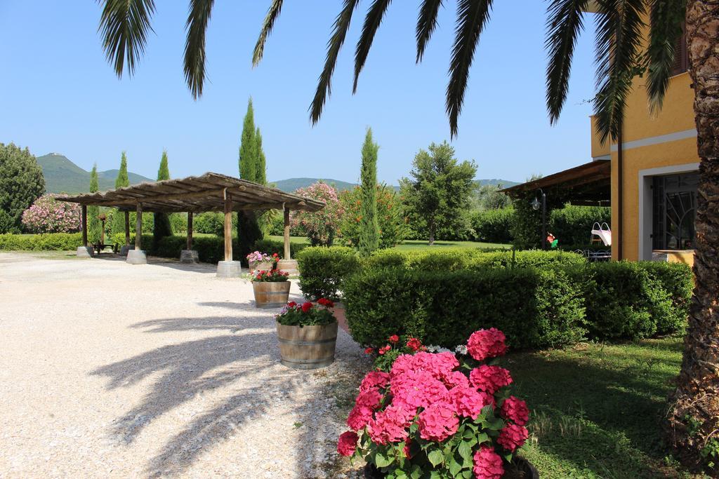 Agriturismo Eucaliptus Bolgheri Zewnętrze zdjęcie